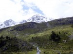 Alpii Dinspre Guarda 1 - Cecilia Caragea